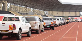 Kawira Mwangaza