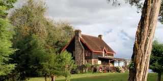 Forest Castle Lodge