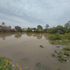 Nyalenda floods
