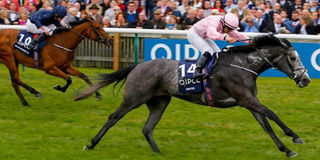 Wayne Lordan