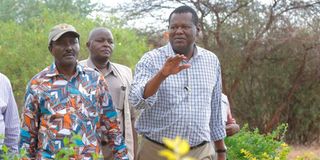 Prof Philip Kaloki