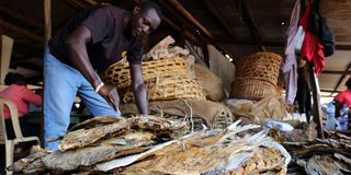 dry fish