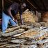 dry fish 