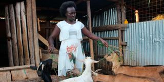 Florence Kiplagat
