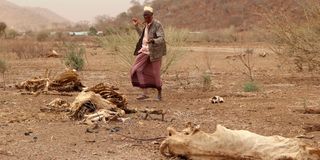 drought