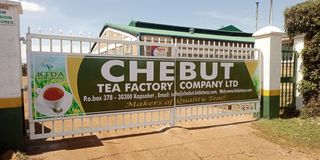 Chebut Kenya Tea Development Authority (KTDA) factory in Kapsabet, Nandi county