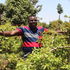 Miraa farmer