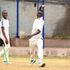 Cricket