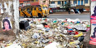 Heap of uncollected garbage at the Khoja Bus Terminus
