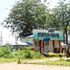 Mumias Sugar Company