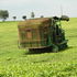 A tea plucking machine at Ekaterra Tea Company plantation in Kericho county