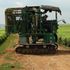 tea plucking machine