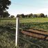 Fenced land