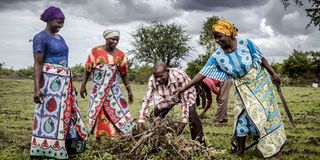 Members of Sagalato and Songa Mbele put mulch together on their farm.