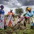Members of Sagalato and Songa Mbele put mulch together on their farm.
