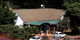 The front view of the White Rhino Hotel.