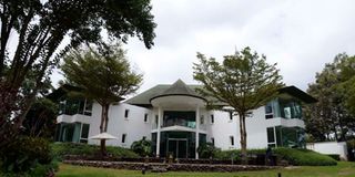White Rhino Hotel