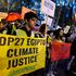 COP27 Demonstrators