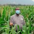 Prof Theophilus Mutui checks on Bt Maize