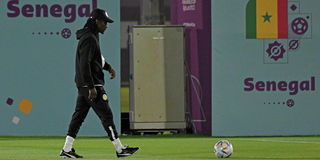Aliou Cisse