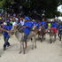 Lamu cultural festival