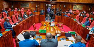 Mr Kennedy Mong’are Okong’o before the Parliament Justice and Legal Affairs Committee