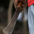 machete-wielding gangs