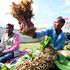 Miraa seller
