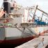 Maize imports