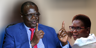 Kiraitu Murungi on Kawira Mwangaza