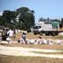 NCPB Eldoret
