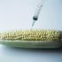 GMO maize