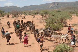 Samburu banditry
