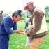 deworming donkey 