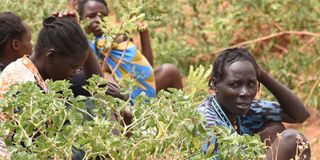 Women at Lomulel hills, Baringo county as operation to flush bandits out of the troubled North Rift Valley region began.