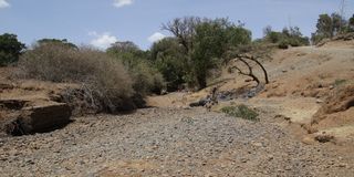 Laikipia drought
