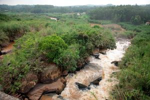 River Yala