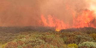 aberdare fire