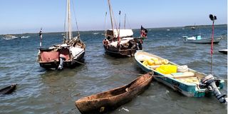 Lamu Fishermen