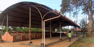 The stalled Sh10 million Kerugoya economic stimulus market.