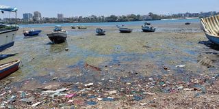 Filth-choked waters at a beach in Mlango wa Papa area in Mombasa Old Town