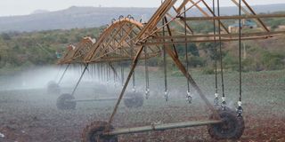 irrigation