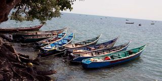 42 Kenyan fishermen arrested by Ugandan authorities