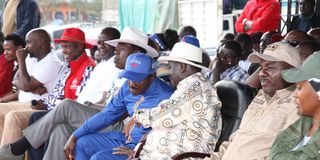 raila and kalonzo