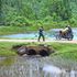 Arror Kimwarer dams: a bridge at River Talal in Keiyo-South, Elgeyo-Marakwet where Kimwarer Dam was supposed to be constructed