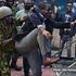 National Assembly Minority Leader Opiyo Wandayi arrested 