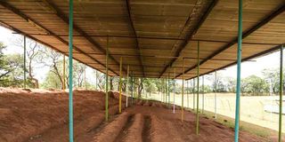 Nzoia Sugar