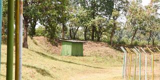Nzoia Sugar