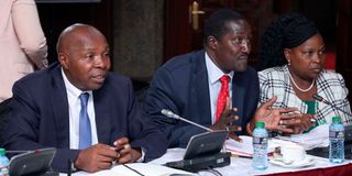 Intergovernmental Relations Technical Committee Chairperson Kithinji Kiragu and board members John Burungu and Angeline Honyo