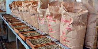 Coffee beans